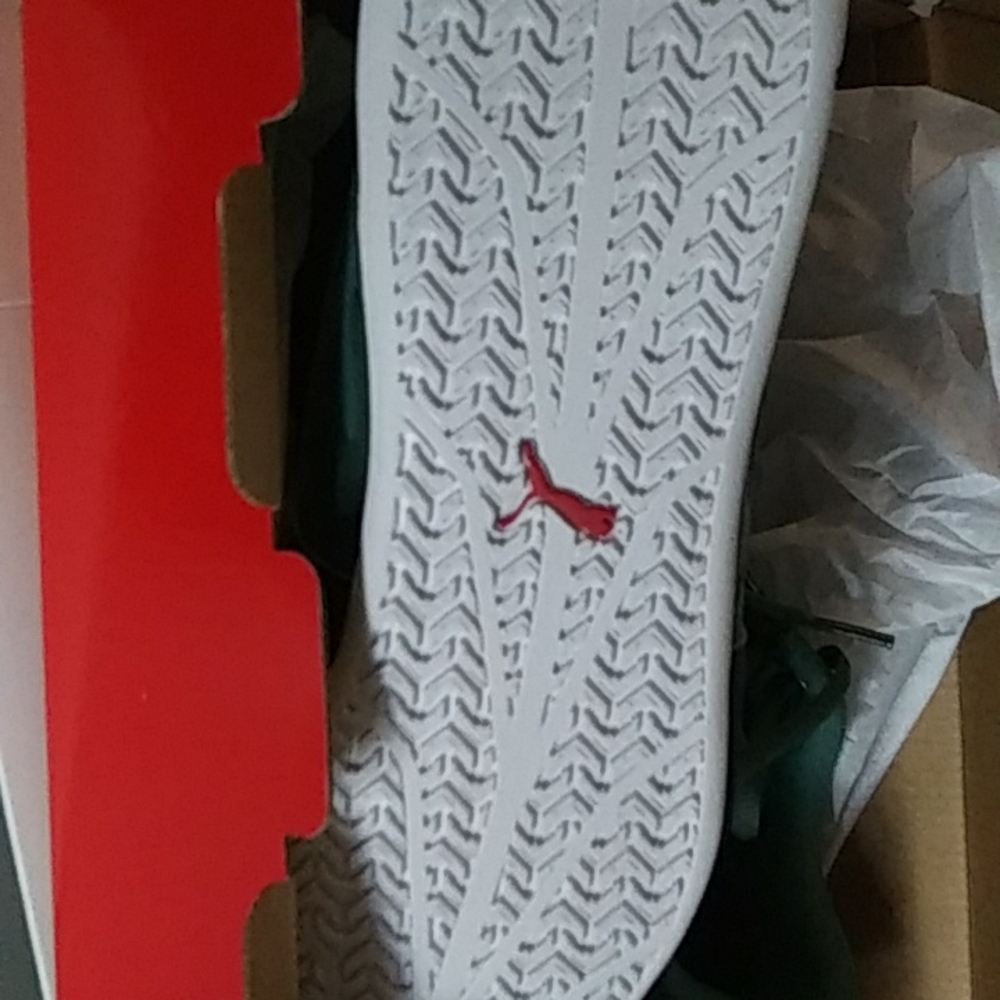 Puma - Picture 4 of 4